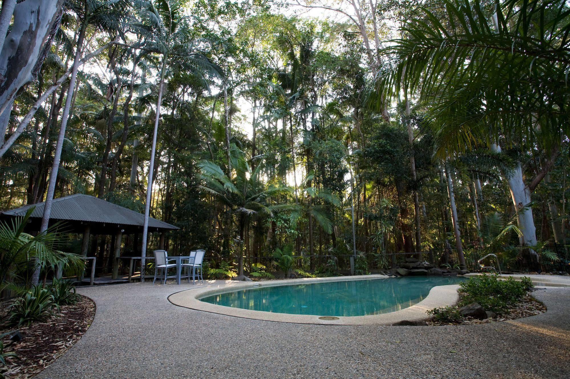 Amore On Buderim Rainforest Cabins Sunshine Coast Dış mekan fotoğraf